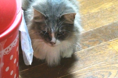 物思いにふける