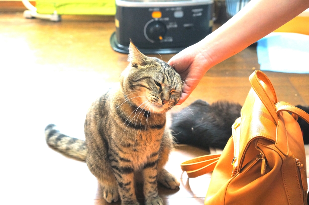 うーん そこそこ