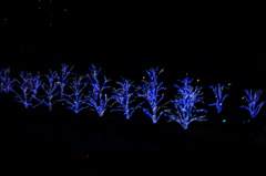 東京ミッドタウン1