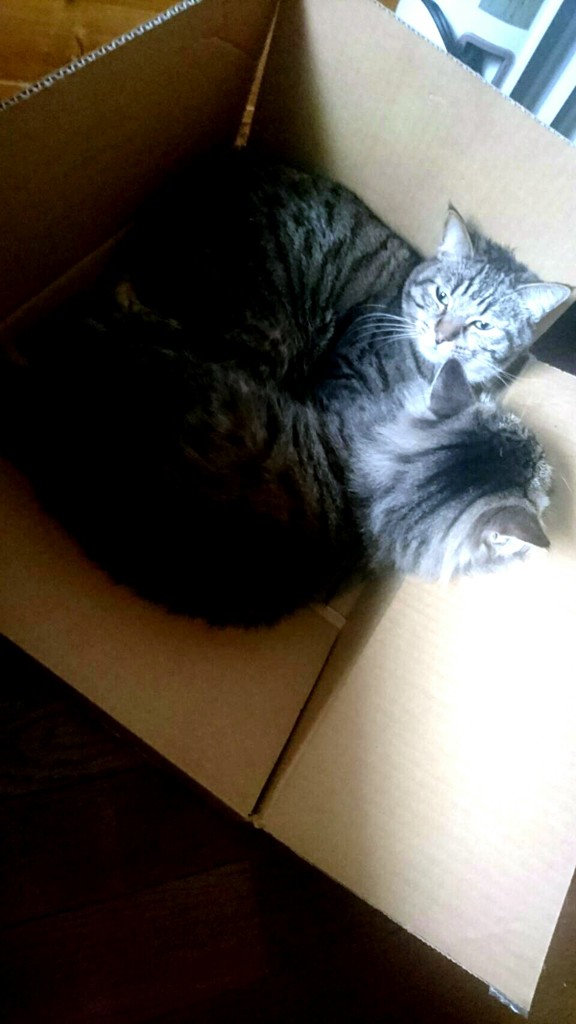 仲良く♥