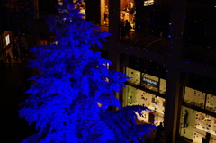 KITTEの巨大ツリー