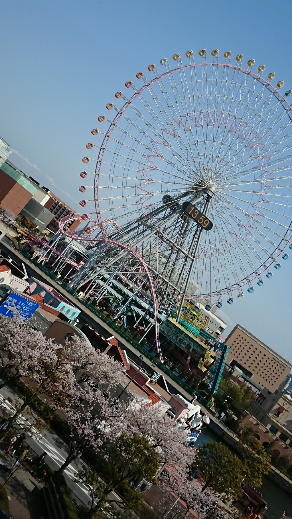 桜並木と観覧車