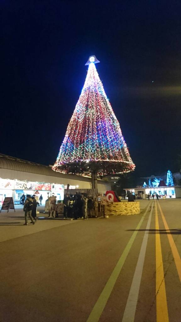 イルミネーション