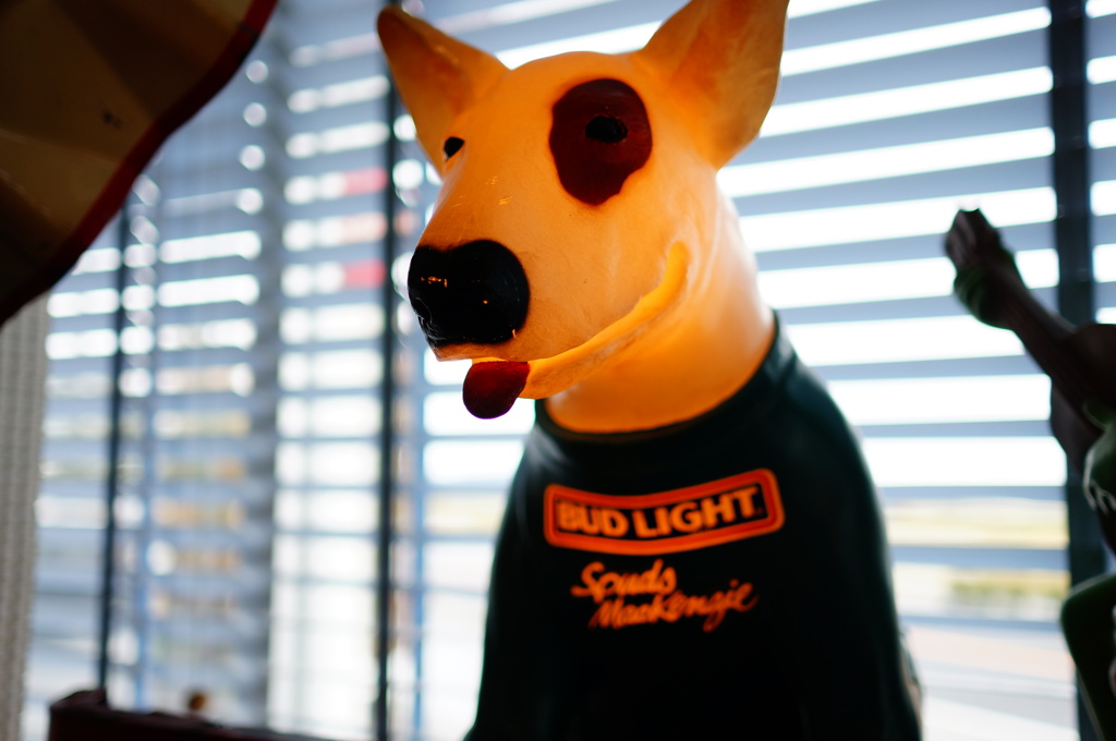 ブルテリアのライト