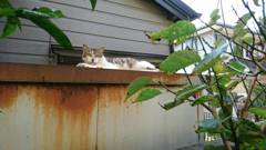 カメラこっちね