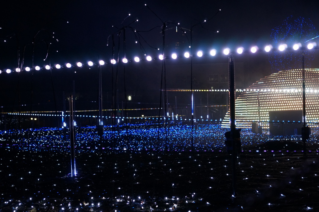 東京ミッドタウン6