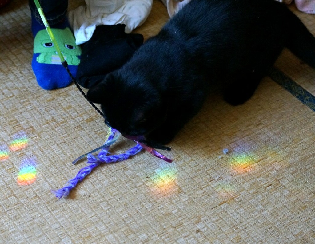 遊んでもらってご機嫌