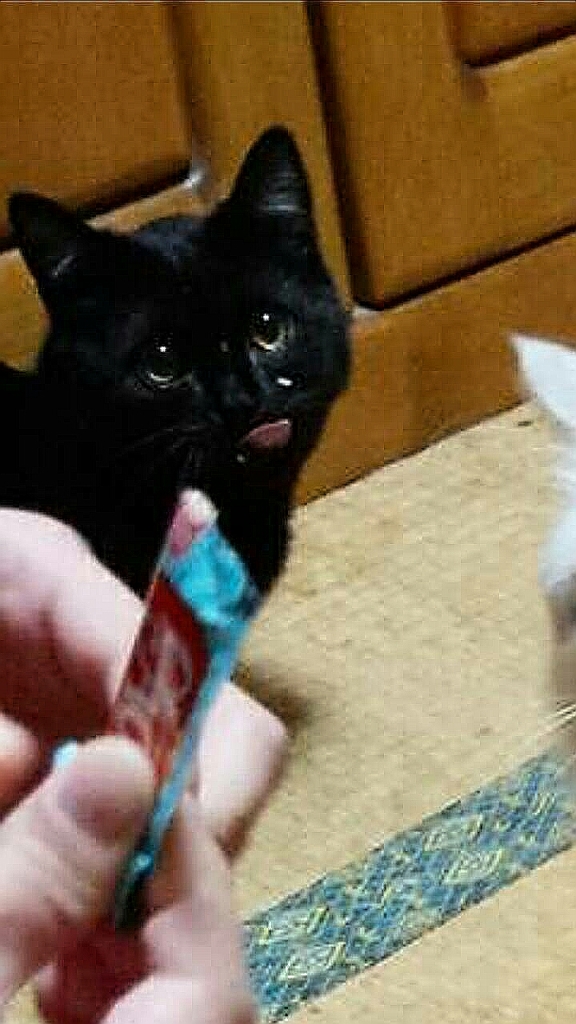 おいちい(｡•ㅅ•｡)♡
