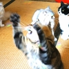 ンがぁ〜！