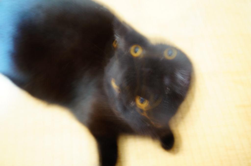ホラー