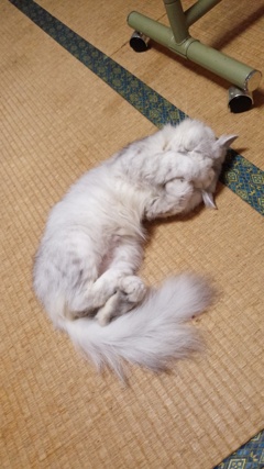 みにゃいで！