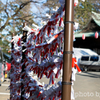 新年の運試し、引き取ります
