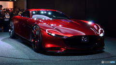 RX-Vision