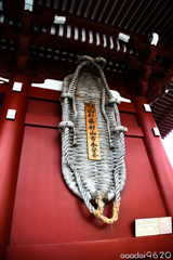 貴方の足は何メートル？