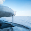 氷の端にも涙　の氷柱