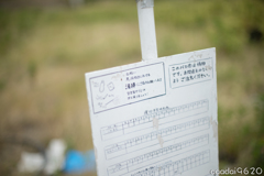 この文字が目に入らぬか？