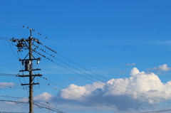 夏空