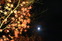 月と