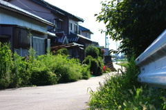 道