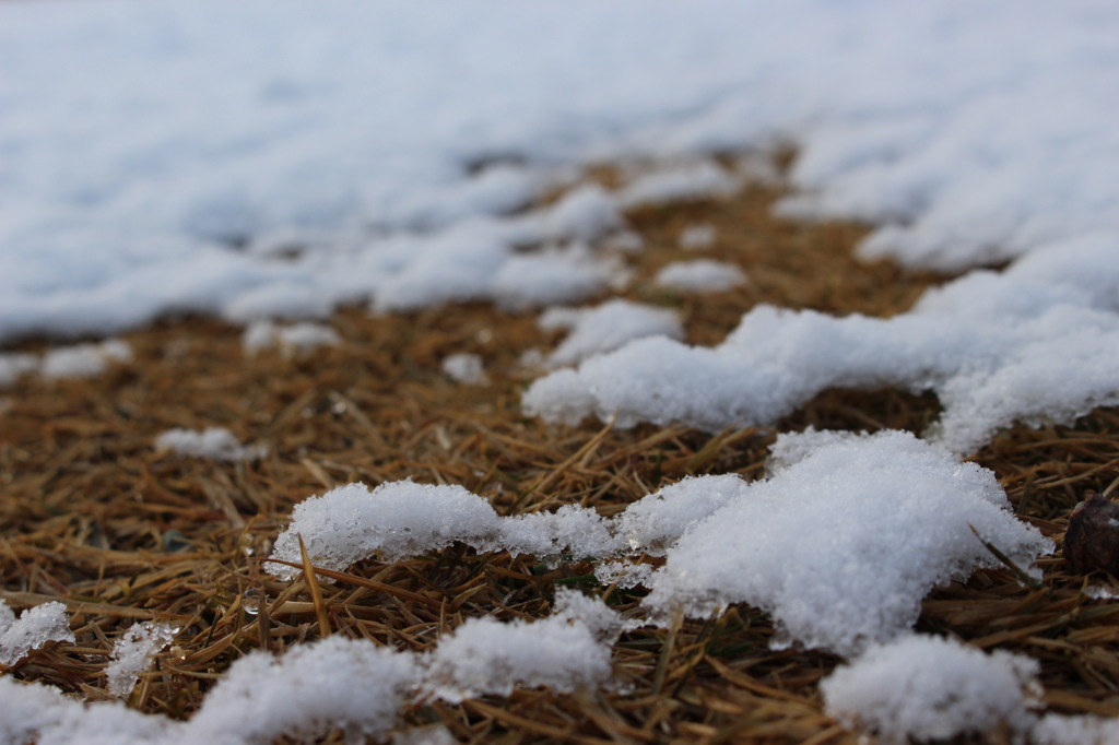 雪解け