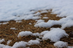 雪解け