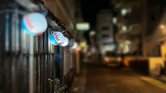 石垣島 美崎町