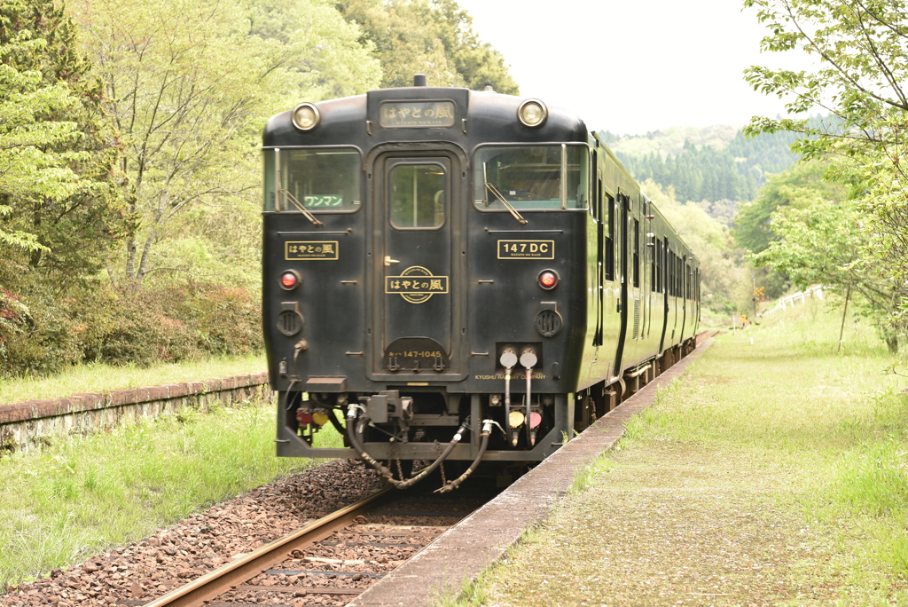 はやとの風