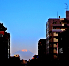 FUJI=SAN