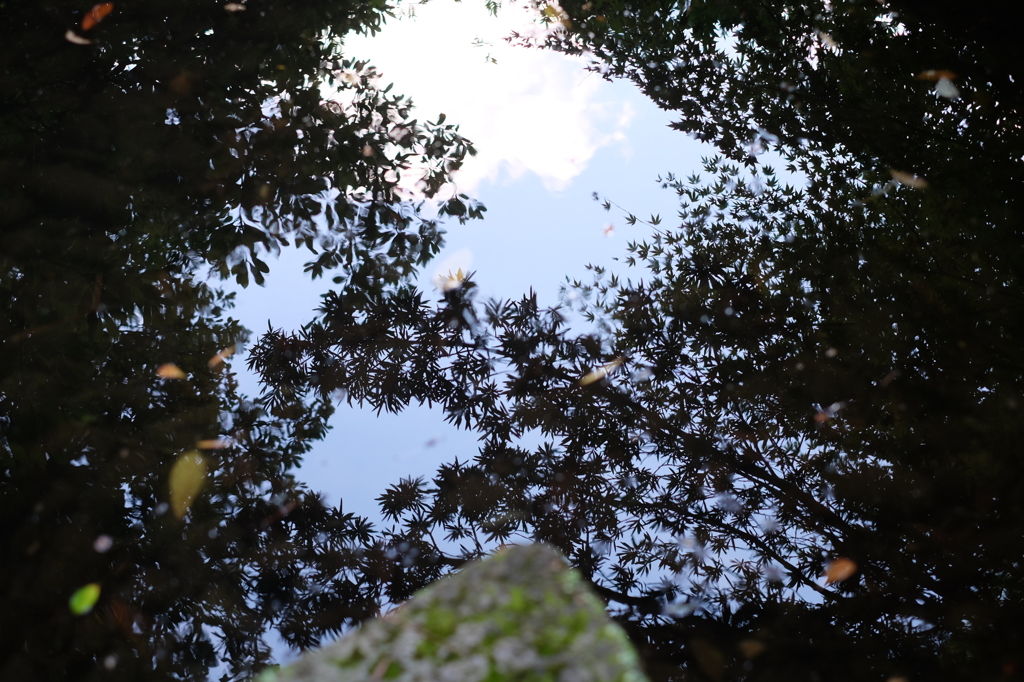 兼六園