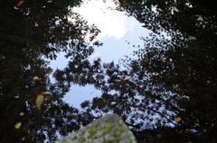 兼六園