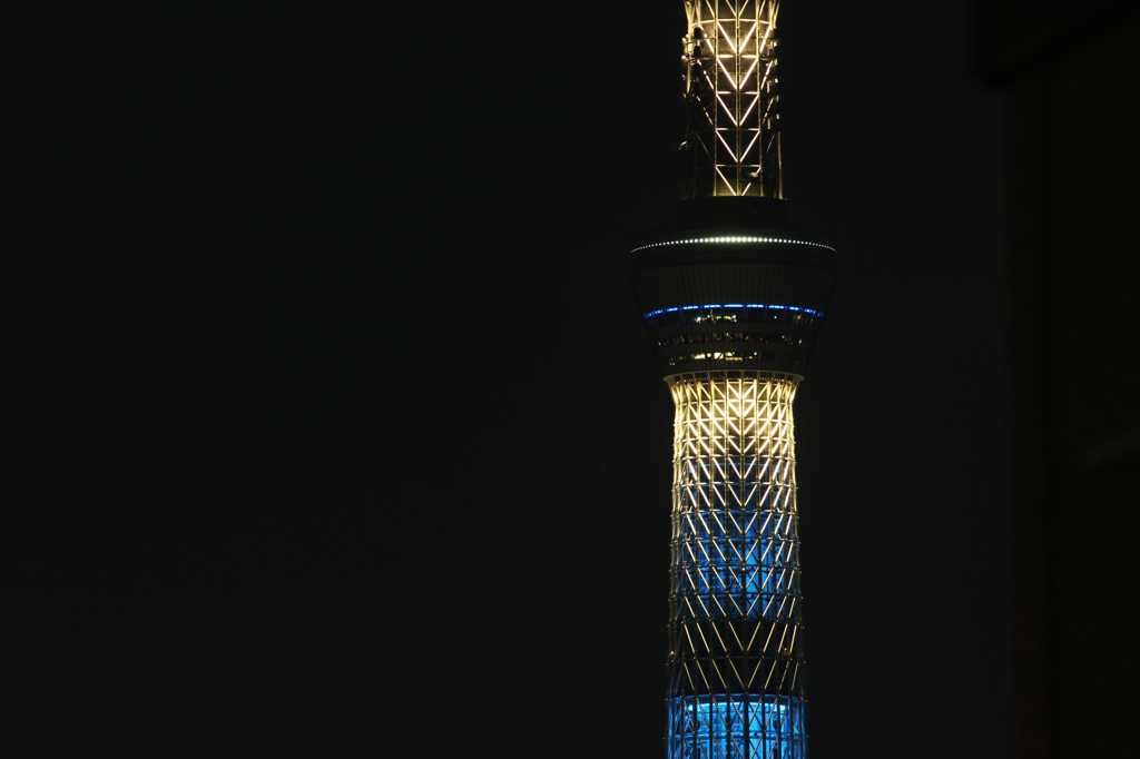 家から見える景色