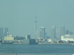 羽田から、見るスカイツリー。