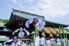 宮地嶽神社02