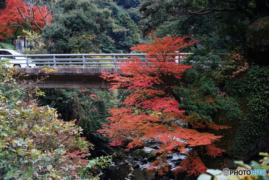 紅葉の耶馬渓