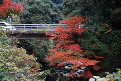 紅葉の耶馬渓