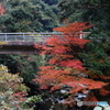 紅葉の耶馬渓