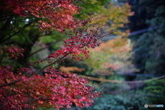 DSC01908