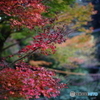 DSC01908