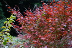 DSC01930
