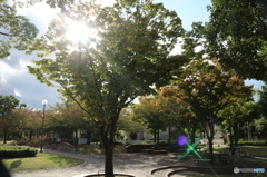 公園