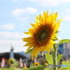夏の終わり