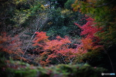DSC01917