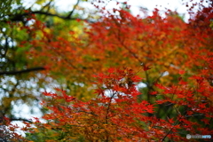 DSC01921