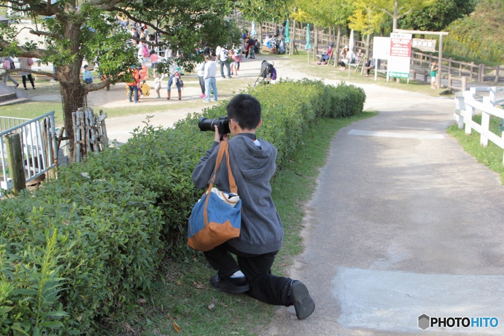 カメラ小僧