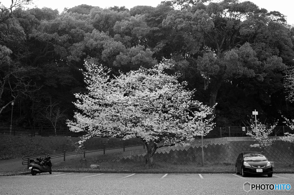 西公園ー3