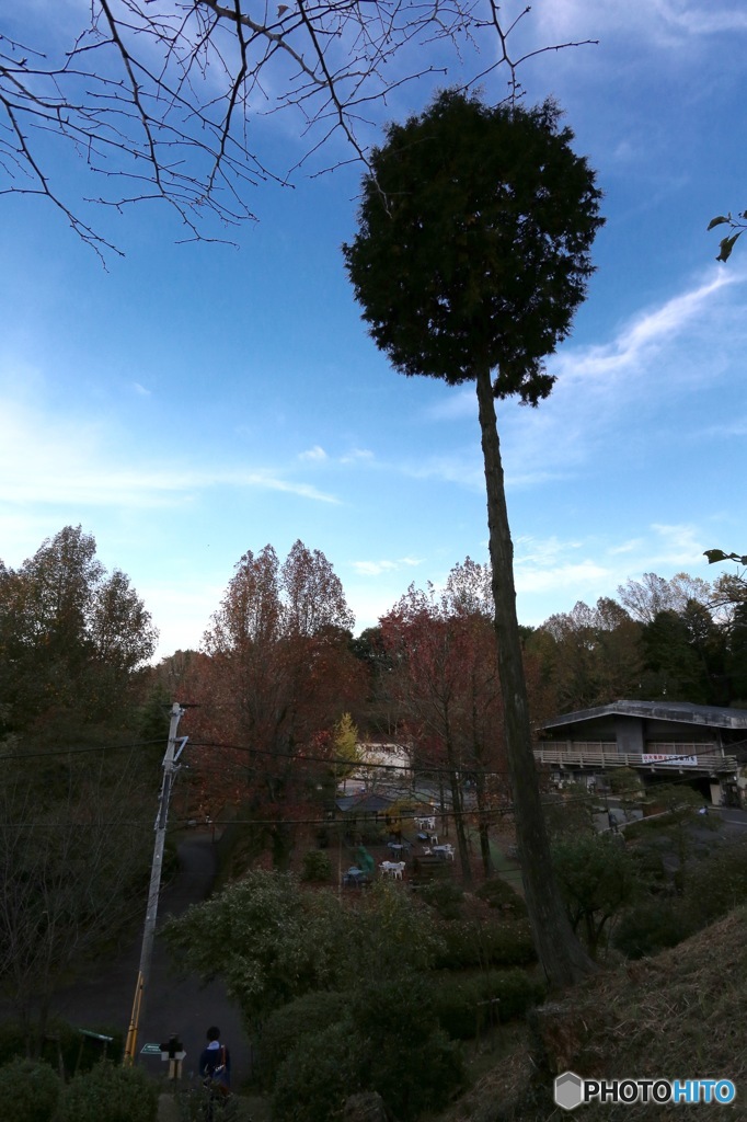 油山市民の森03