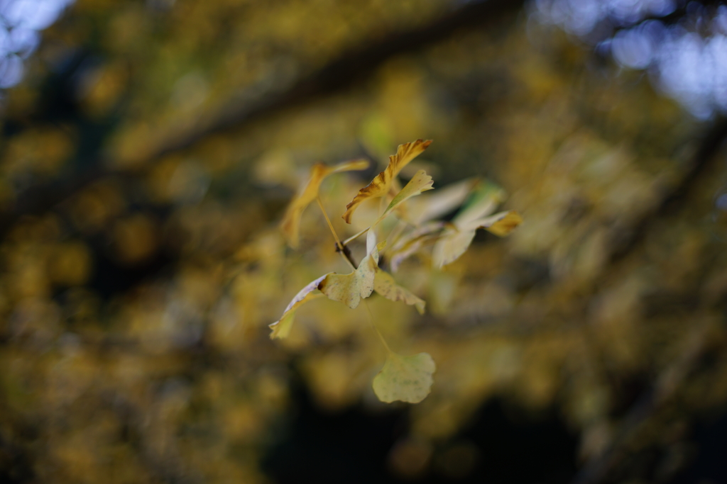 DSC01946