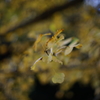 DSC01946