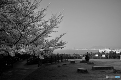 西公園
