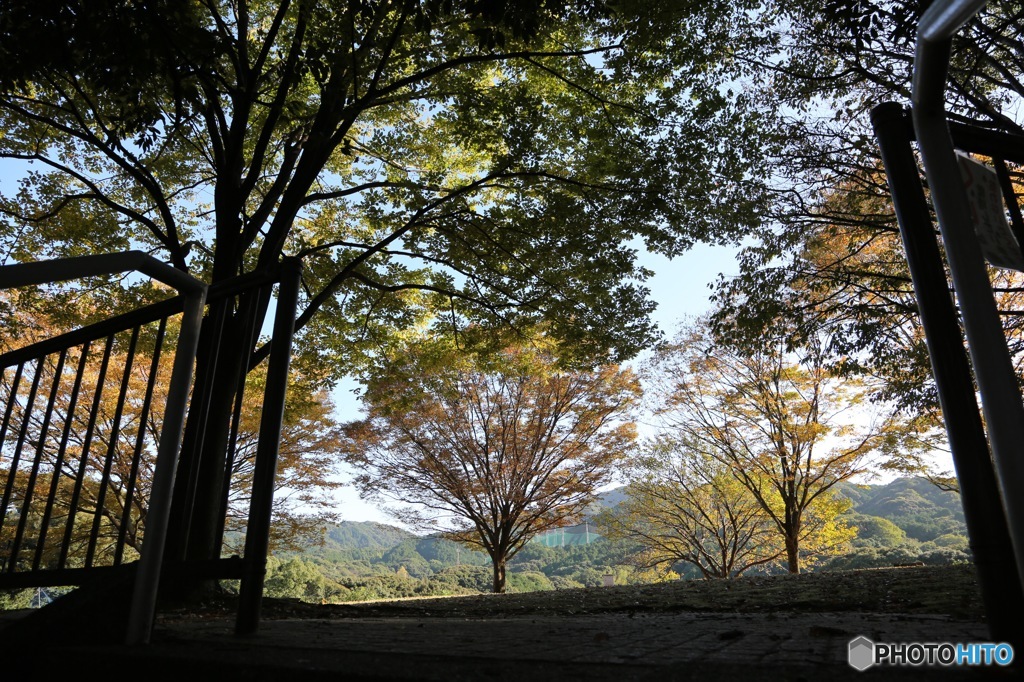 花畑園芸公園01